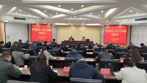 成人影视片
举办学习贯彻党的二十届三中全会精神专题研讨班